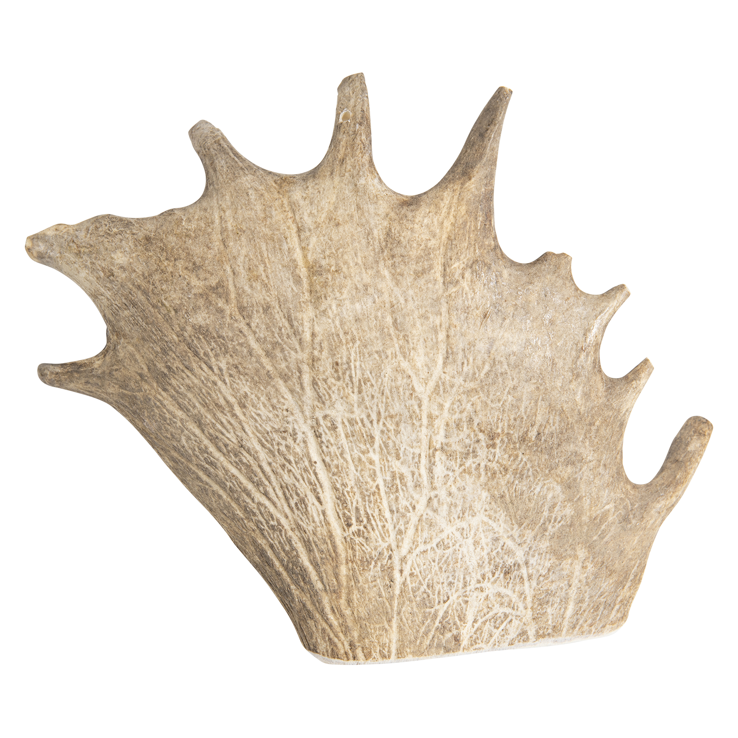 Jack and Vanilla Damhertengewei All Nature All Nature - 221-300g - Bruin