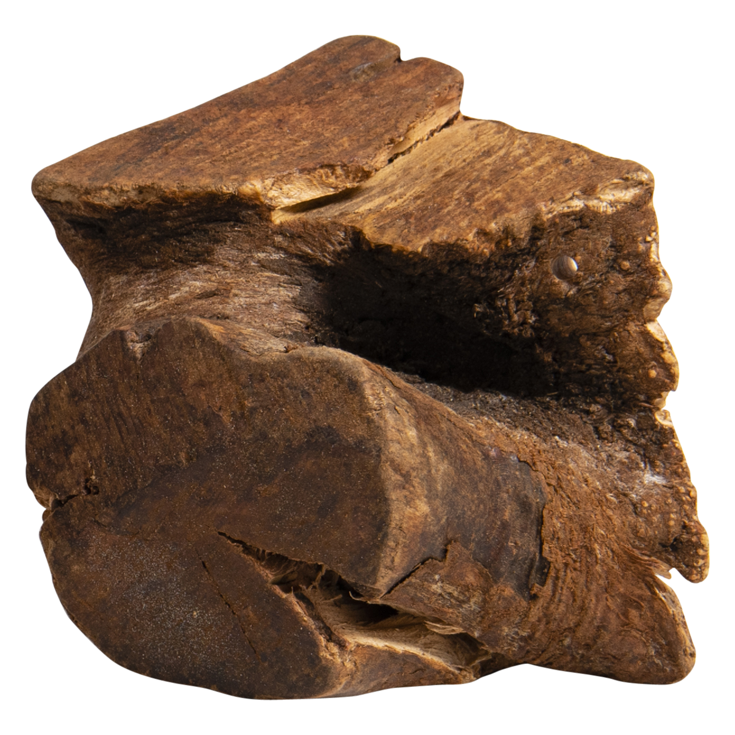 Jack and Vanilla Boomwortel All Nature All Nature - 351-500g - Bruin
