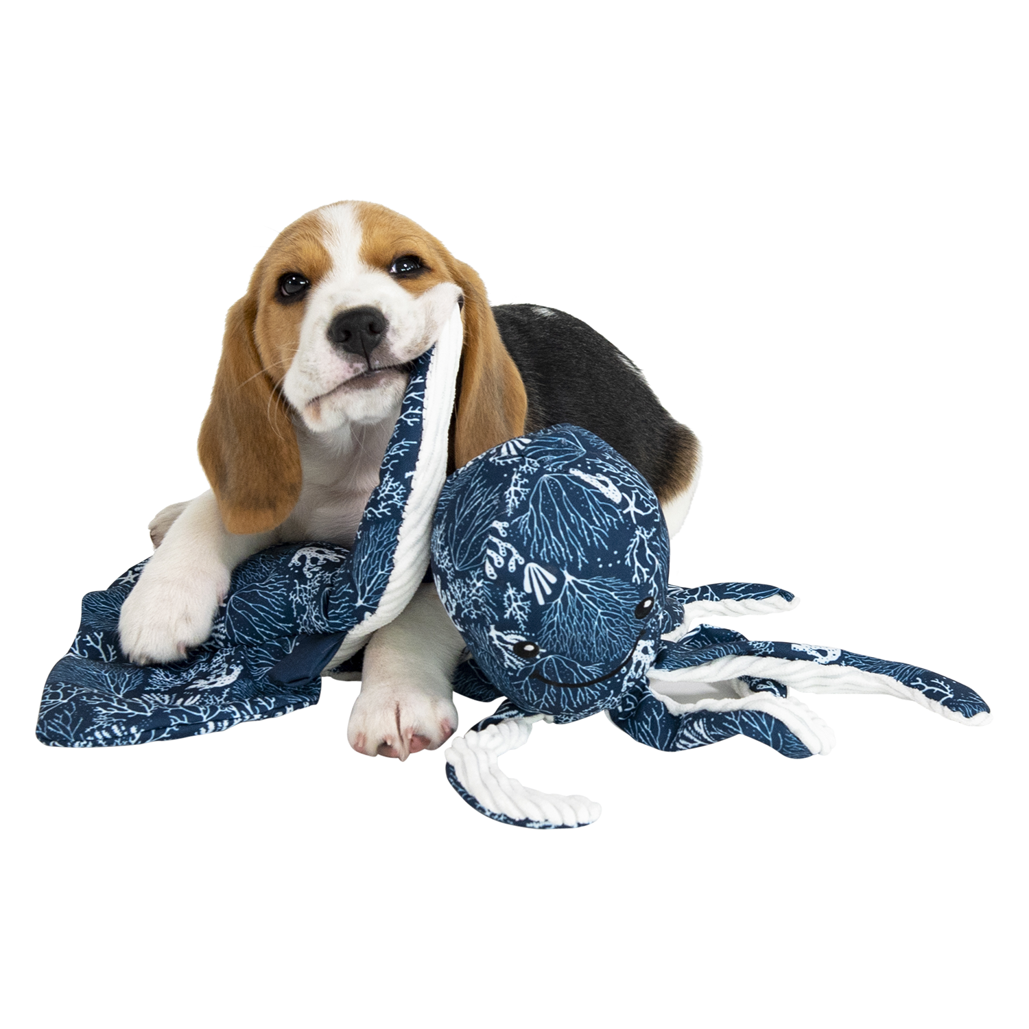 Jack and Vanilla Hondenspeeltje Revive Revive Toys - 9x27cm - Blauw