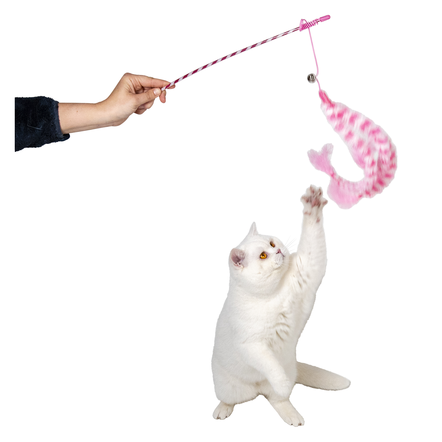 Jack and Vanilla Kattenhengel House of Colors Fun Danglers - 43x15x3cm - Meerkleurig