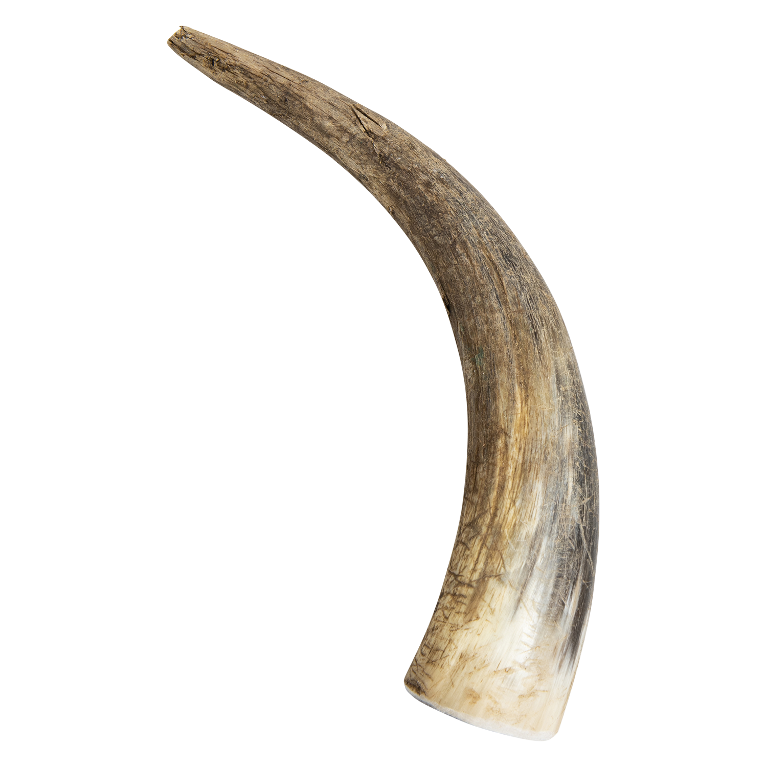 Jack and Vanilla Veehoorn All Nature All Nature - 171-260g - Bruin