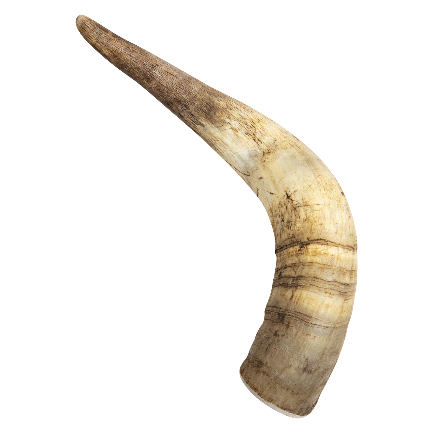 Jack and Vanilla Veehoorn All Nature All Nature - 261-350g - Bruin