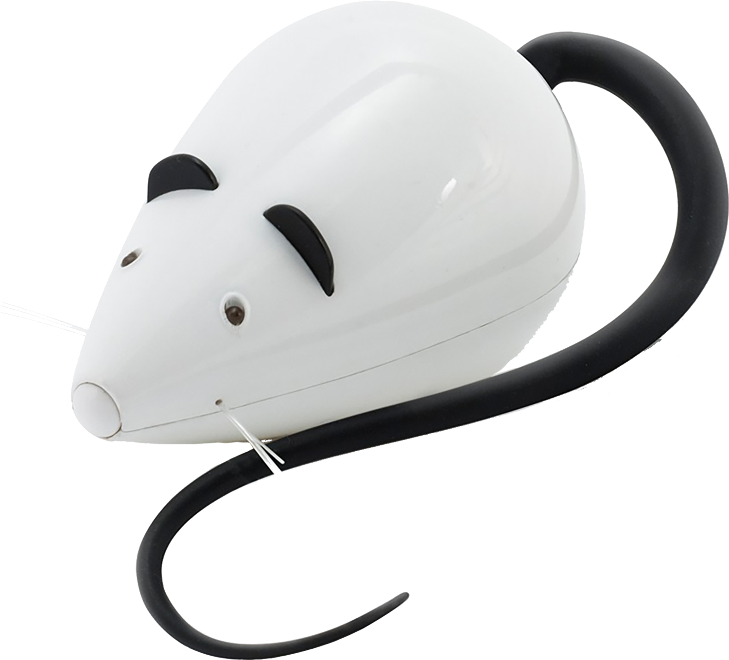 Petsafe Speeltjes Play & Challenge -