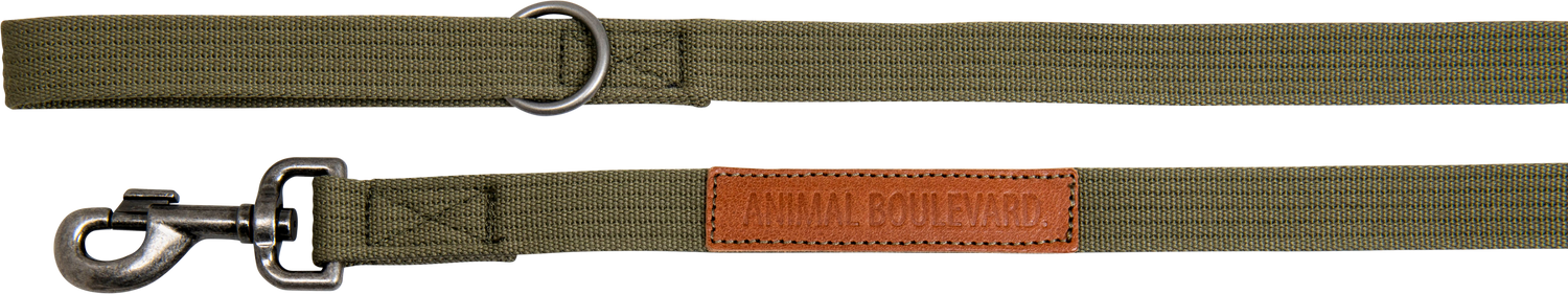 Animal Boulevard hondenlijn voor honden, groen, 120 cm