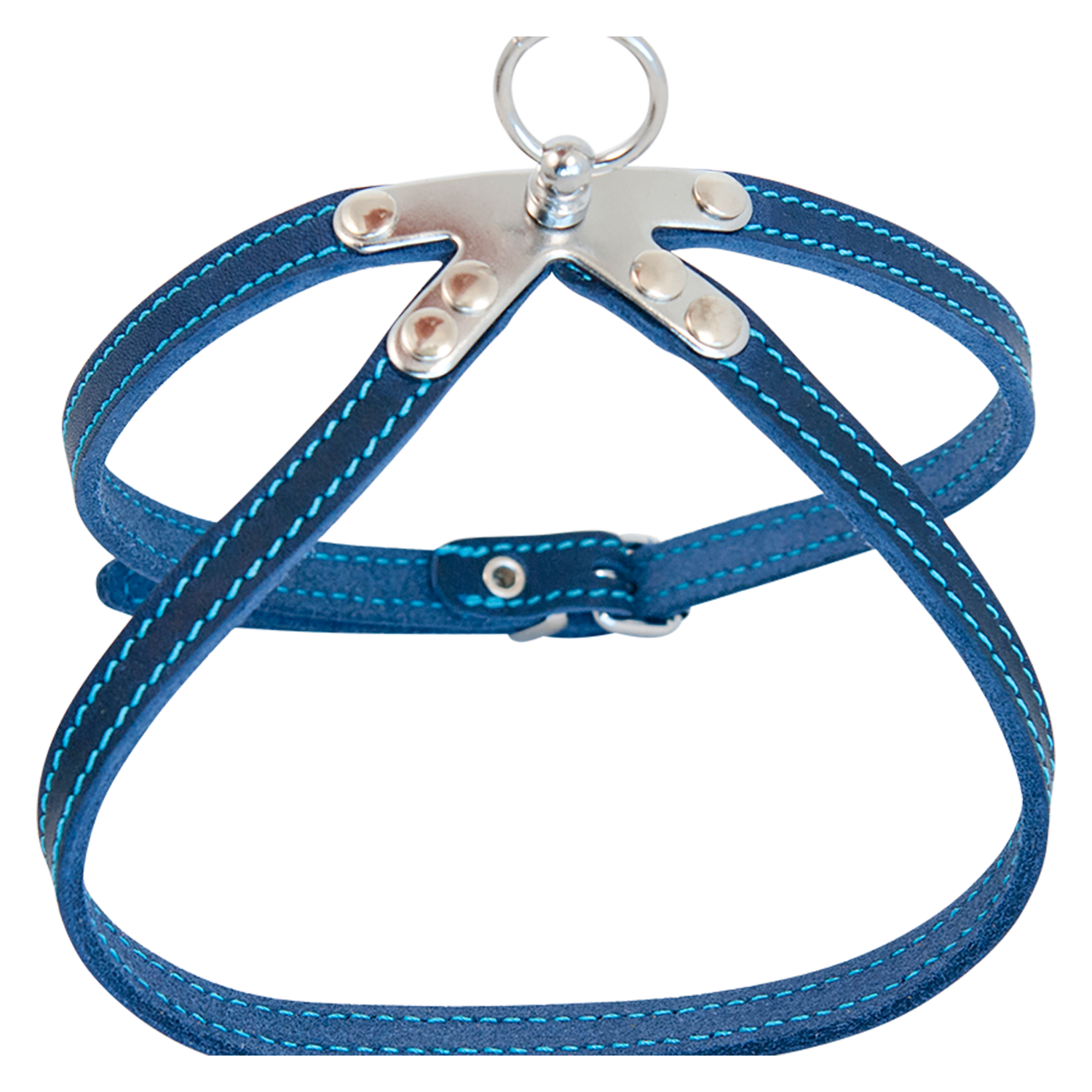 Jack and Vanilla Springtuigje Timeless Greased Leather - 10mmx30cm - Blauw