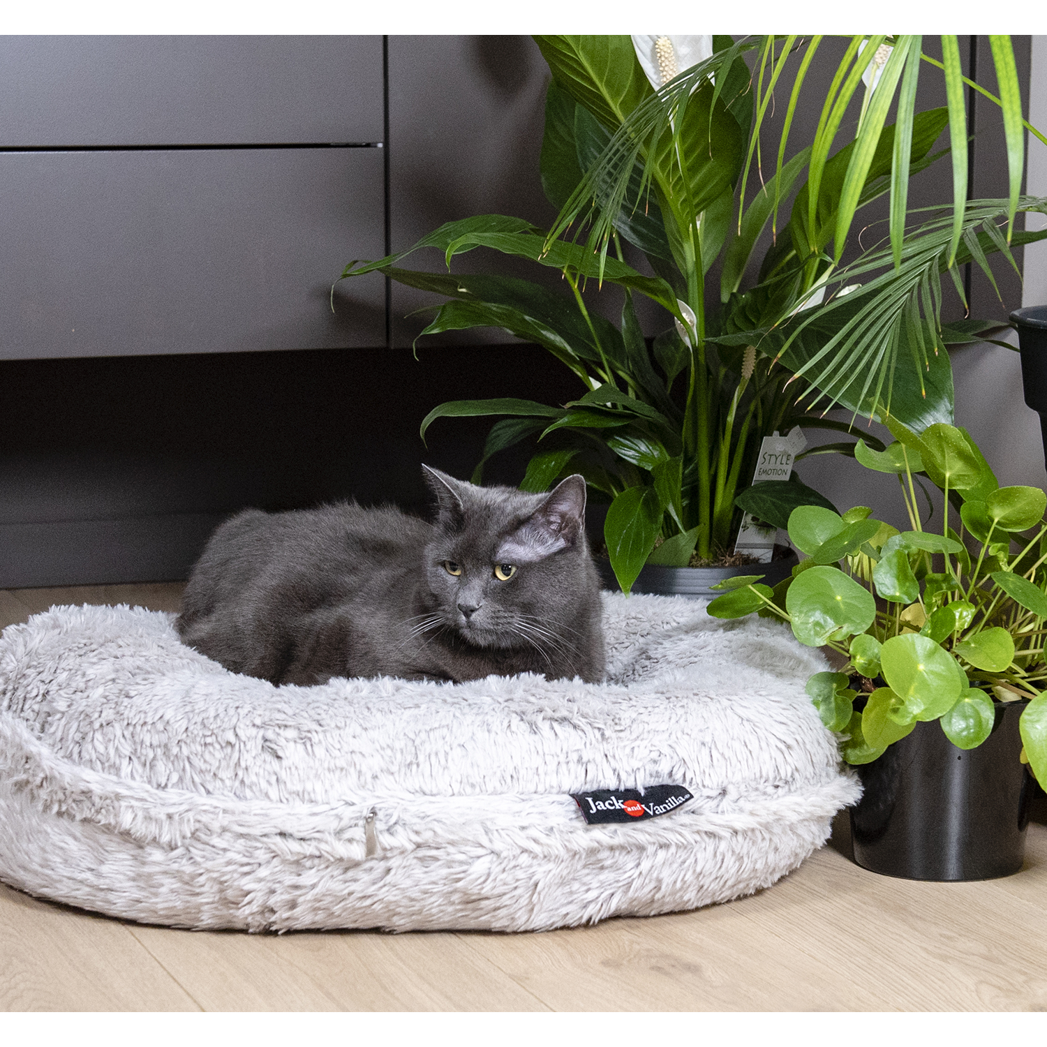 Jack and Vanilla Puff Home Sweet Home Shell - Ø70cm - Shell