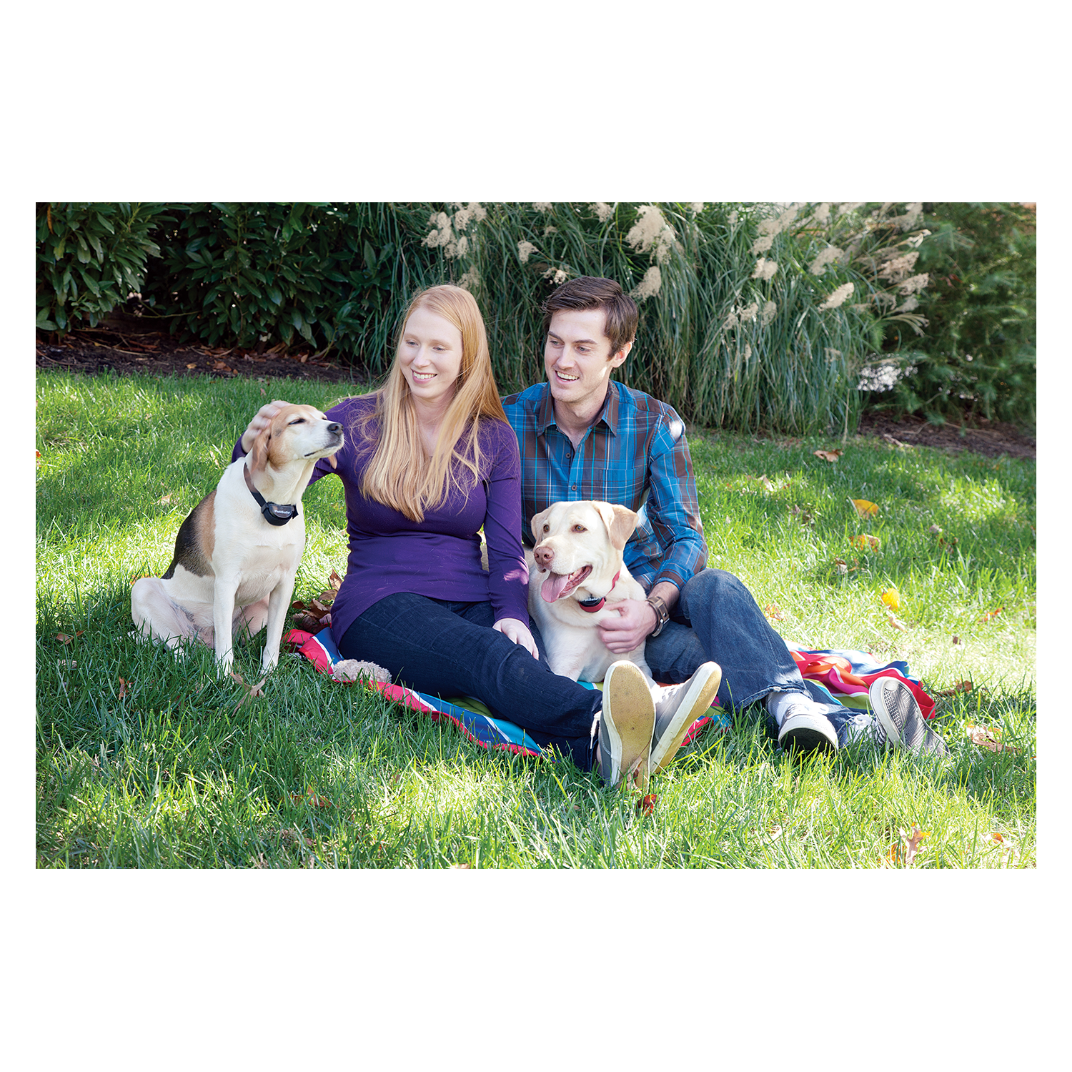 Petsafe Halsbanden Containment Systems -