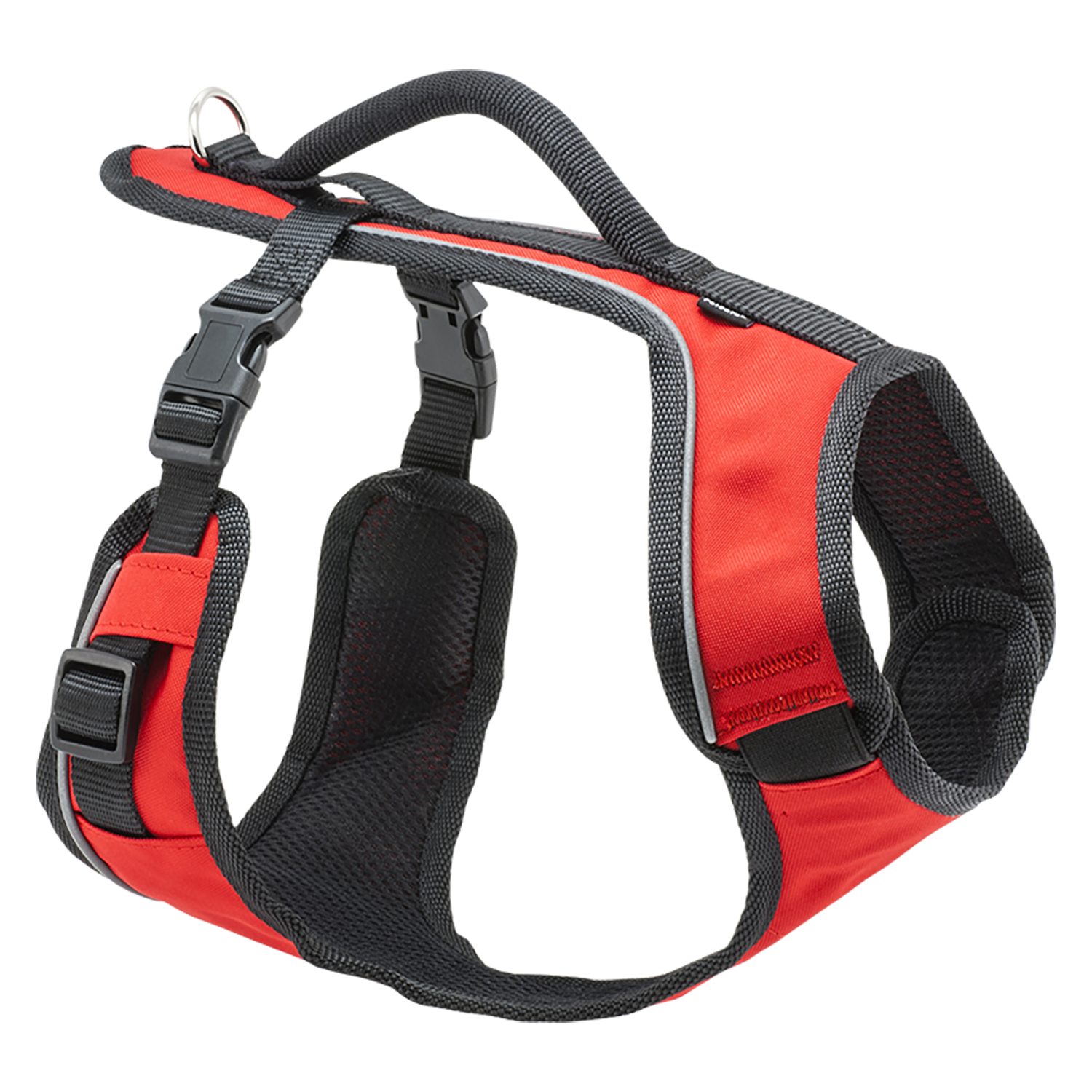 Petsafe Training Systems Tuigje