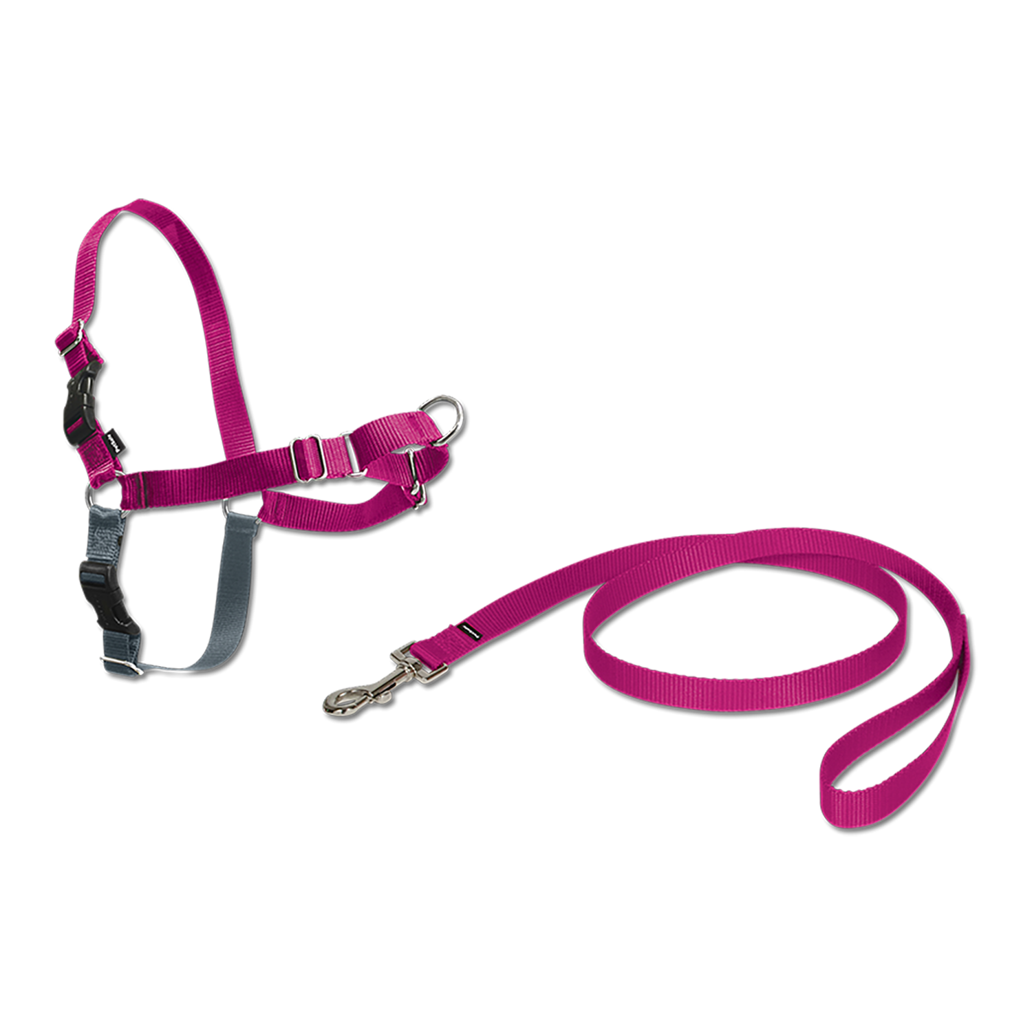 Petsafe Training Systems Tuigje