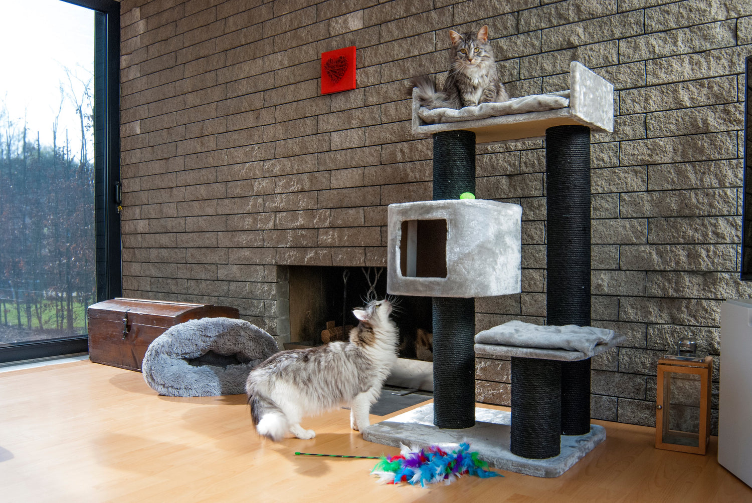 Jack and Vanilla Krabpaal Timeless Cat Trees (Home) - 70x50x120cm - Grijs