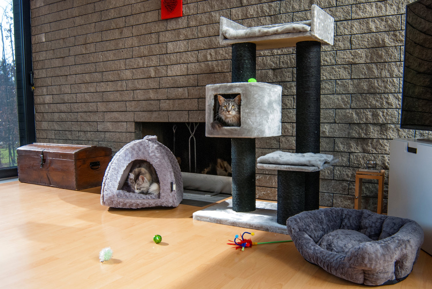 Jack and Vanilla Krabpaal Timeless Cat Trees (Home) - 70x50x120cm - Grijs
