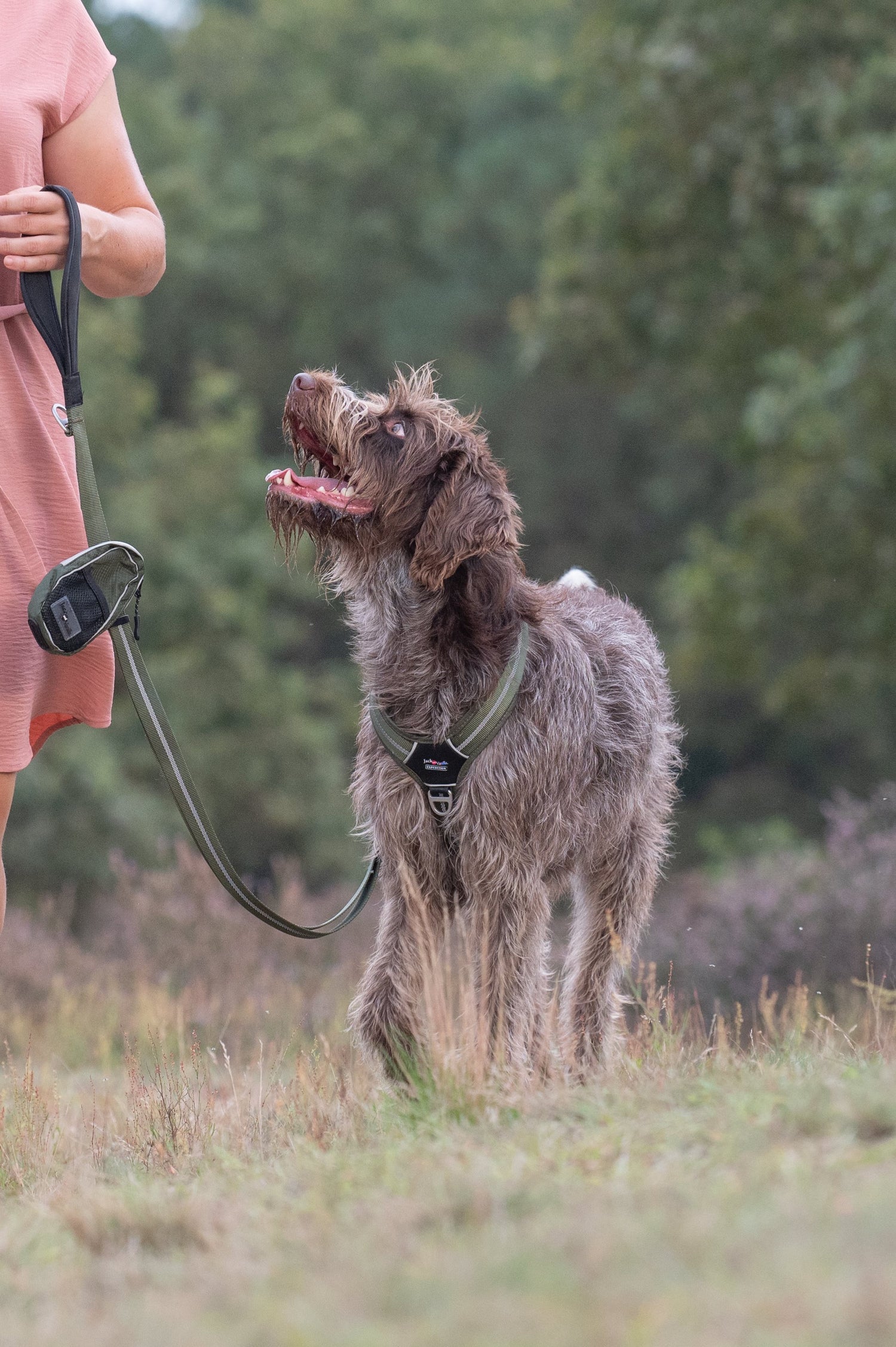 Jack and Vanilla Traktatiezakje Sport Expedition - 14cm - Olijfgroen