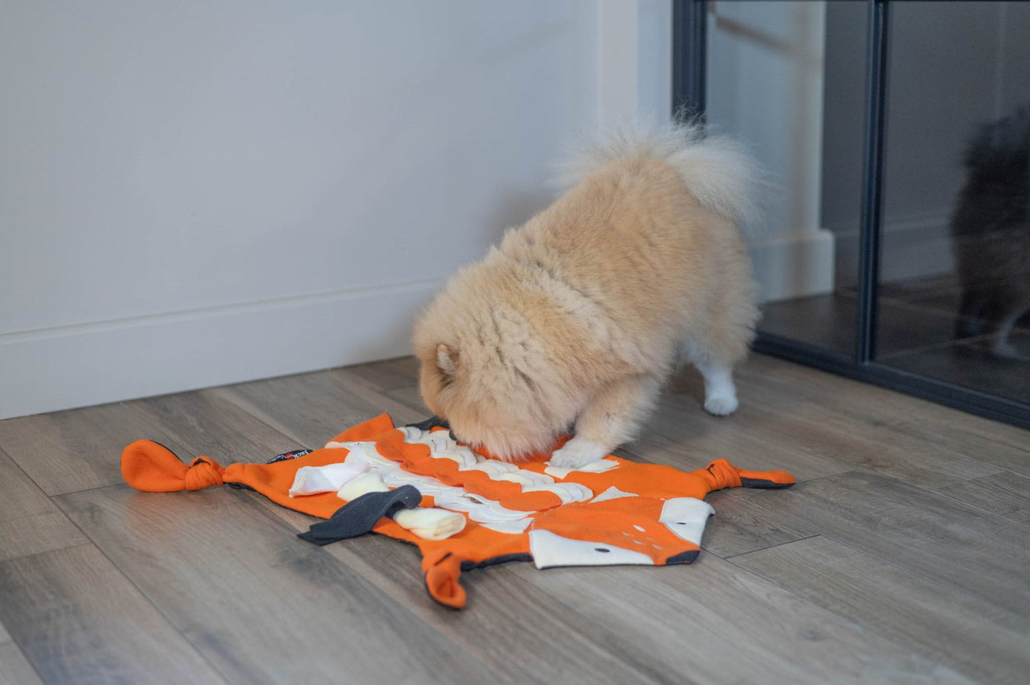 Jack and Vanilla Snuffelmat Timeless Seek N' Treat - 62x75cm - Oranje