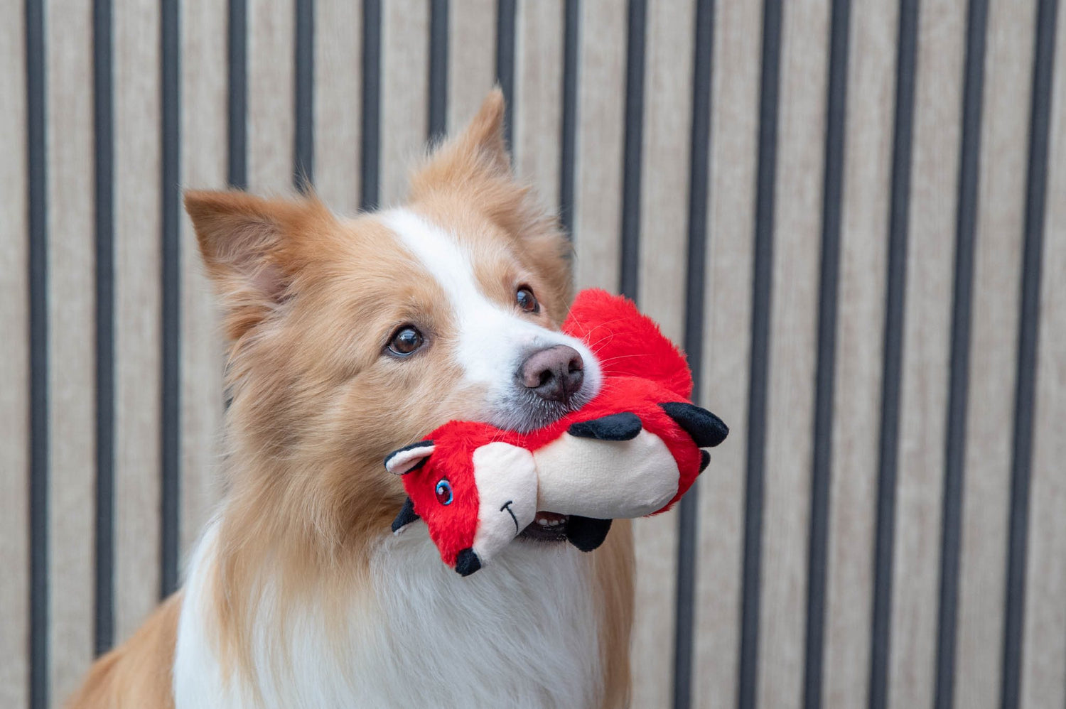 Jack and Vanilla Vos House of Colors ZOONIMALS - 18cm - Rood