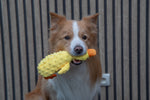 Jack and Vanilla speeltje voor honden
