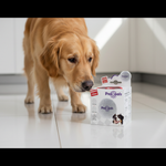 GiGwi speeltje voor honden