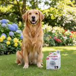 GiGwi speeltje voor honden