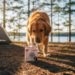 GiGwi speeltje voor honden