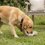 45-9201_01.webp