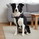 High5Dogs tuigje voor honden