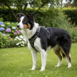 High5Dogs tuigje voor honden