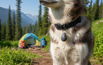Petsafe product voor honden en katten