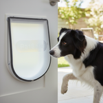 Petsafe product voor katten