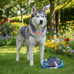 Jack and Vanilla halsband voor honden, blauw, 75 cm