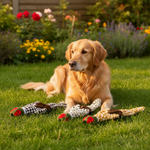 Jack and Vanilla speeltje voor honden, 56 cm