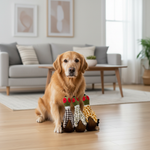 Jack and Vanilla speeltje voor honden, 56 cm