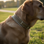 Jack and Vanilla halsband voor honden, groen, 80 cm