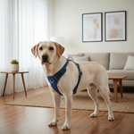 Jack and Vanilla tuigje voor honden, blauw, 35 cm