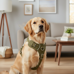 Jack and Vanilla tuigje voor honden, groen, 90 cm