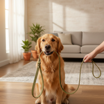Jack and Vanilla product voor honden, groen, 138 cm