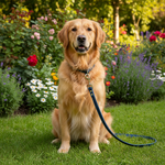 Jack and Vanilla product voor honden, blauw, 128 cm