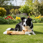 Jack and Vanilla speeltje voor honden, bruin, 50 cm
