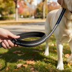 Jack and Vanilla halsband voor honden, zwart, 40 cm