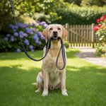 Jack and Vanilla halsband voor honden, zwart, 55 cm