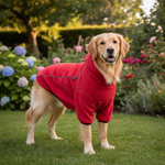 Jack and Vanilla jas voor honden, rood, 50 cm