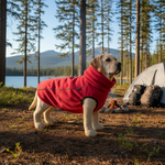 Jack and Vanilla jas voor honden, rood, 60 cm