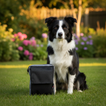 Jack and Vanilla product voor honden