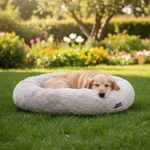 Jack and Vanilla product voor honden, 70 cm