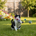 Jack and Vanilla kattenhengel voor katten, meerkleurig, 46 cm