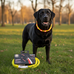 Jack and Vanilla halsband voor honden, geel, 75 cm
