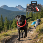 Jack and Vanilla halsband voor honden, rood, 75 cm
