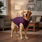 Jack and Vanilla jas voor honden, 45 cm