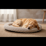 Jack and Vanilla mand voor honden en katten, beige, 55 cm