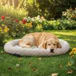 Jack and Vanilla mand voor honden en katten, beige, 55 cm