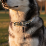 Jack and Vanilla halsband voor honden, zilver, 35 cm