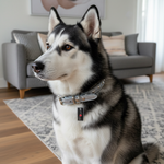 Jack and Vanilla halsband voor honden, zilver, 45 cm